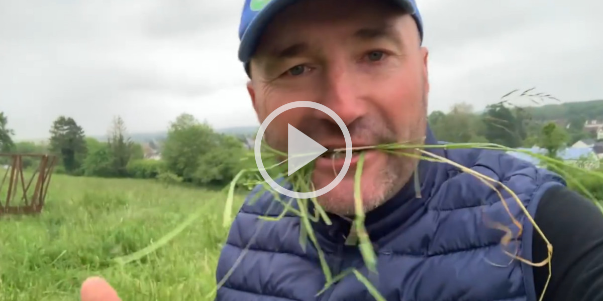 [Vidéo] Réduction des élevages, viande végétale : un agriculteur en colère passe un message au gouvernement