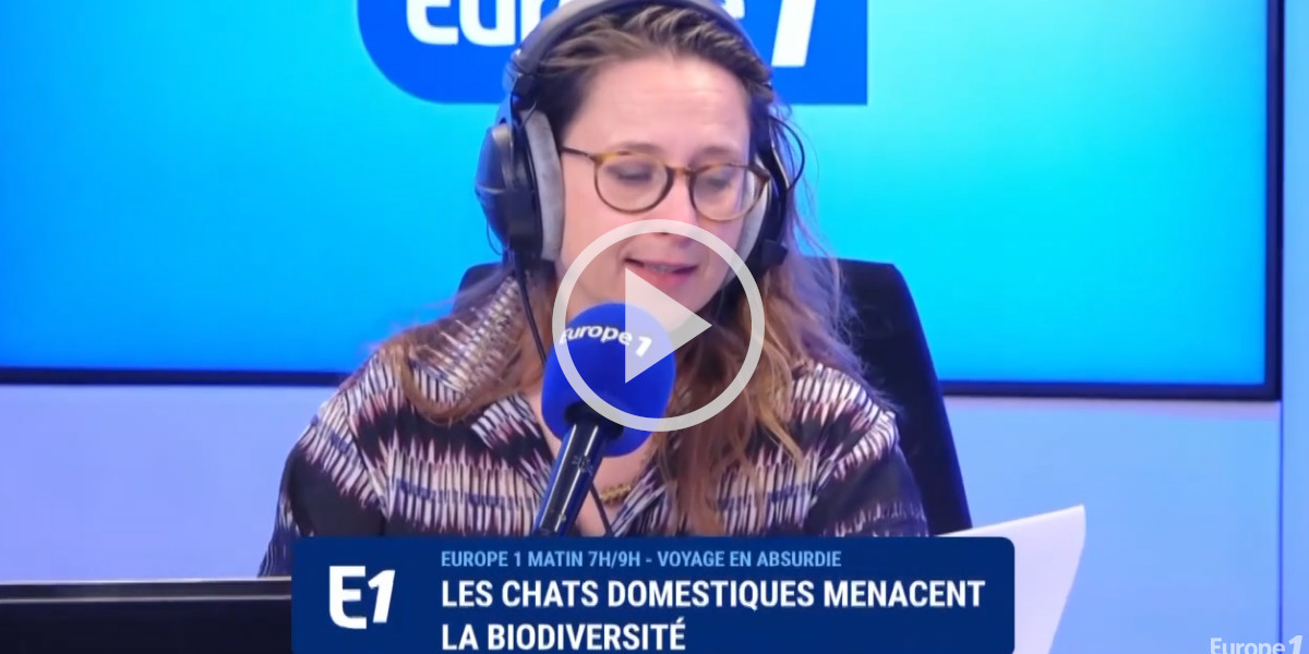 [Vidéo] Chronique sur Europe 1 : Les chats domestiques menacent la biodiversité