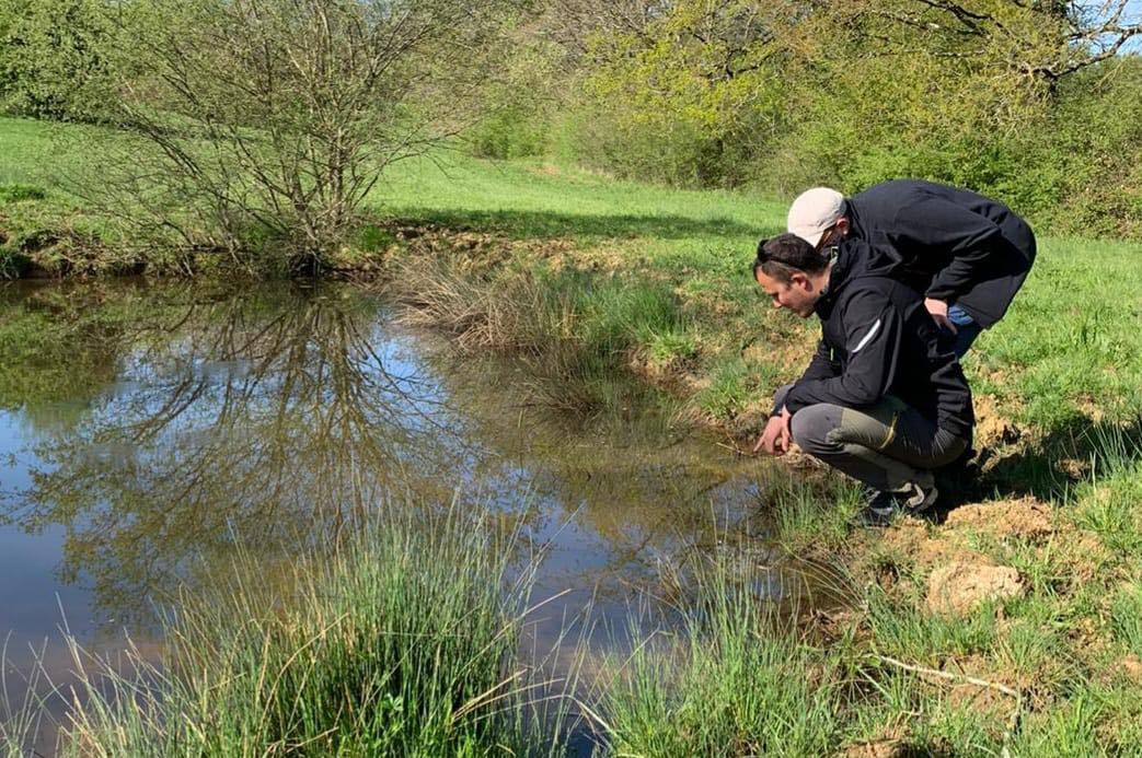 Les chasseurs de l’Aveyron s’investissent dans la restauration des mares