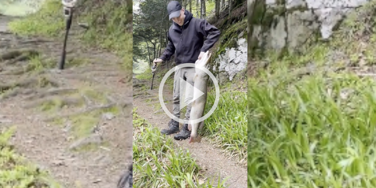 [Vidéo] Pendant un trek, un pêcheur tente sa chance et sort le plus gros brochet de sa vie
