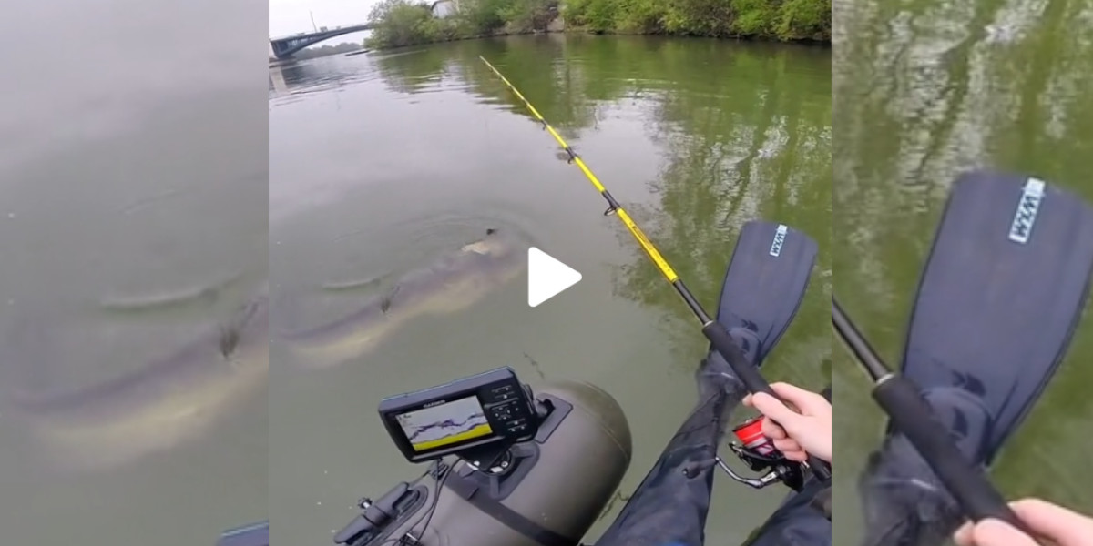 [Vidéo] Un gros silure en surface surprend un pêcheur