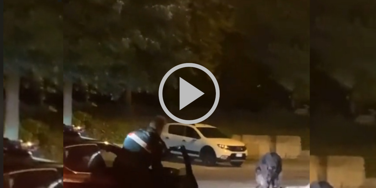 [Vidéo] Un policier prend la fuite devant un sanglier en ville