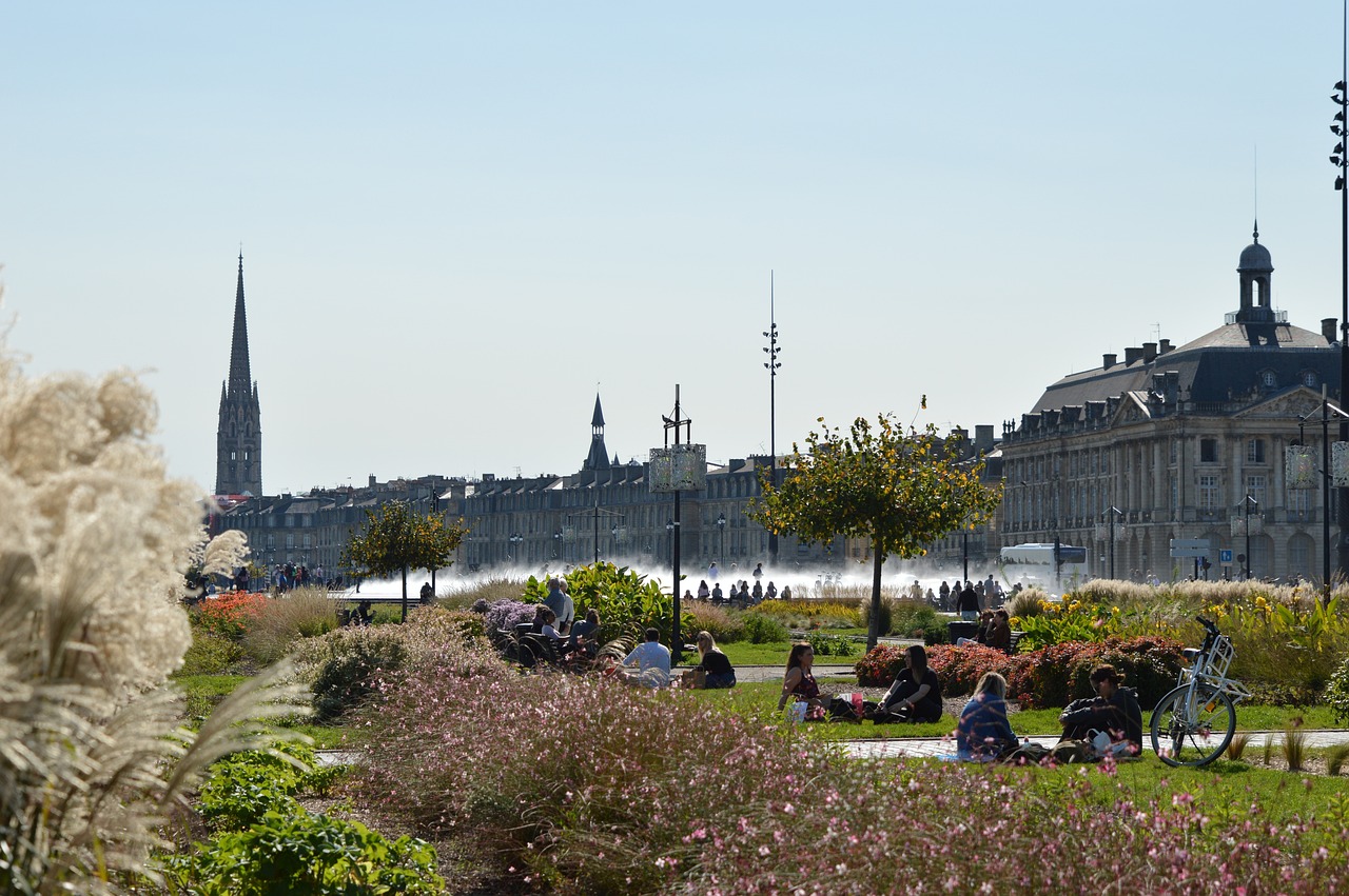 La ville écologiste de Bordeaux a fait planter des milliers d’arbres qui ne sont toujours pas payés