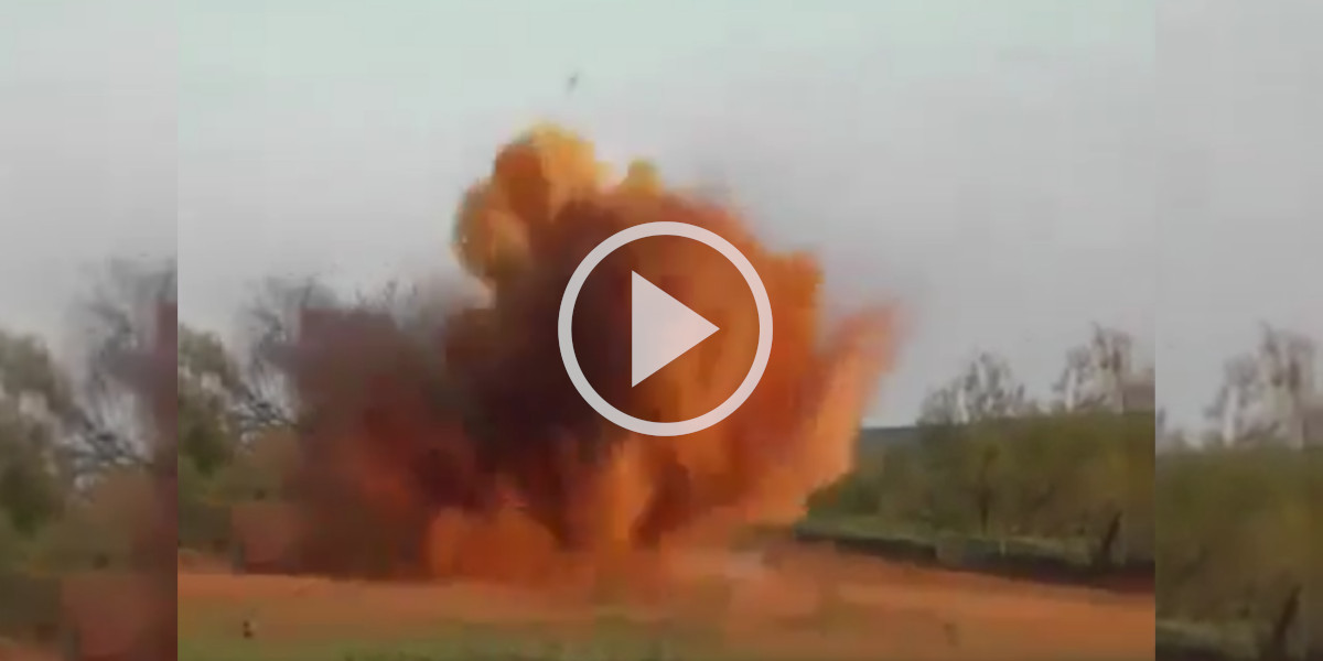 [Vidéo] Destruction de sangliers avec des explosifs, la vidéo qui choque partout en Europe