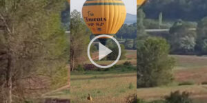 un chevreuil prend la fuite devant une montgolfière