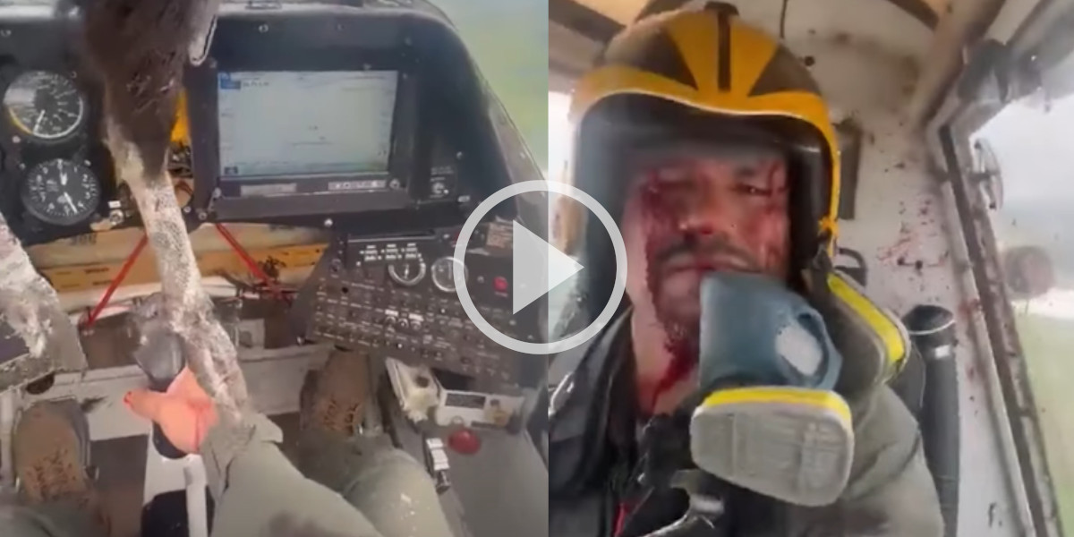 [Vidéo] Un énorme rapace explose la vitre de son cockpit mais ce pilote d’avion reste zen