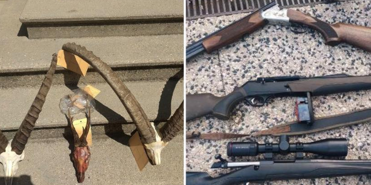 Drôme : Six braconniers arrêtés, leurs pick-up, leurs armes et munitions ont été saisis
