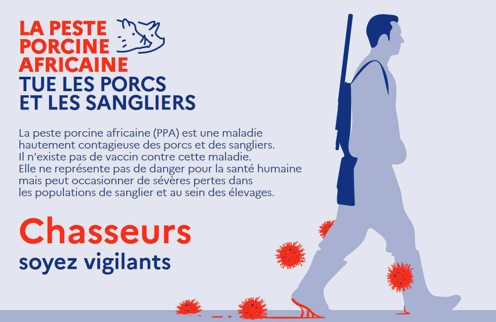 Le ministère de l’Agriculture relance sa campagne de prévention contre la peste porcine africaine