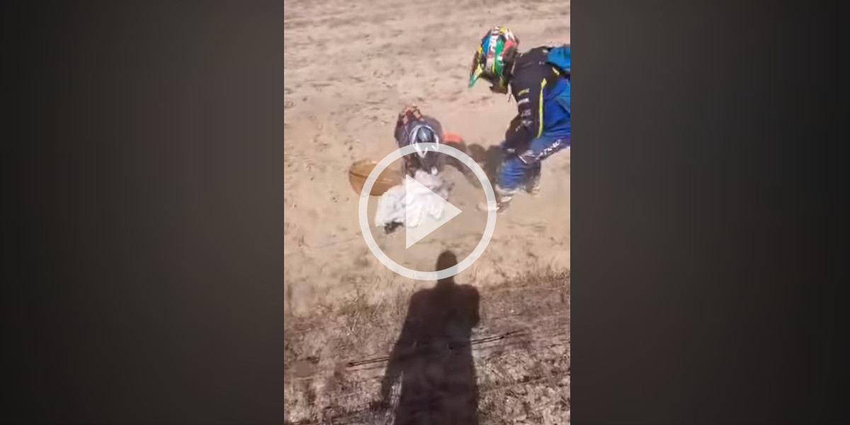 [Vidéo] Trois motards immobilisent un daim et lui sauvent la vie