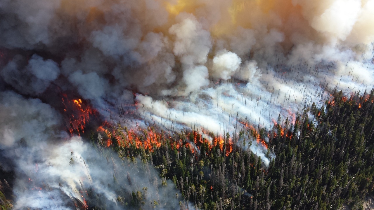 Chasse au Canada : les pourvoiries en danger suite aux récents incendies
