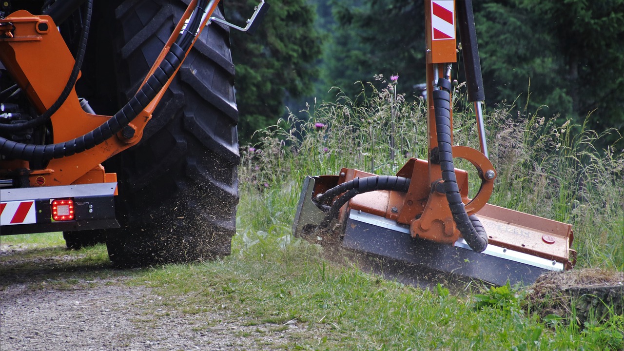 Fauchage en bord de Loire : incompréhension de la Fédération des chasseurs et des associations de protection de la nature