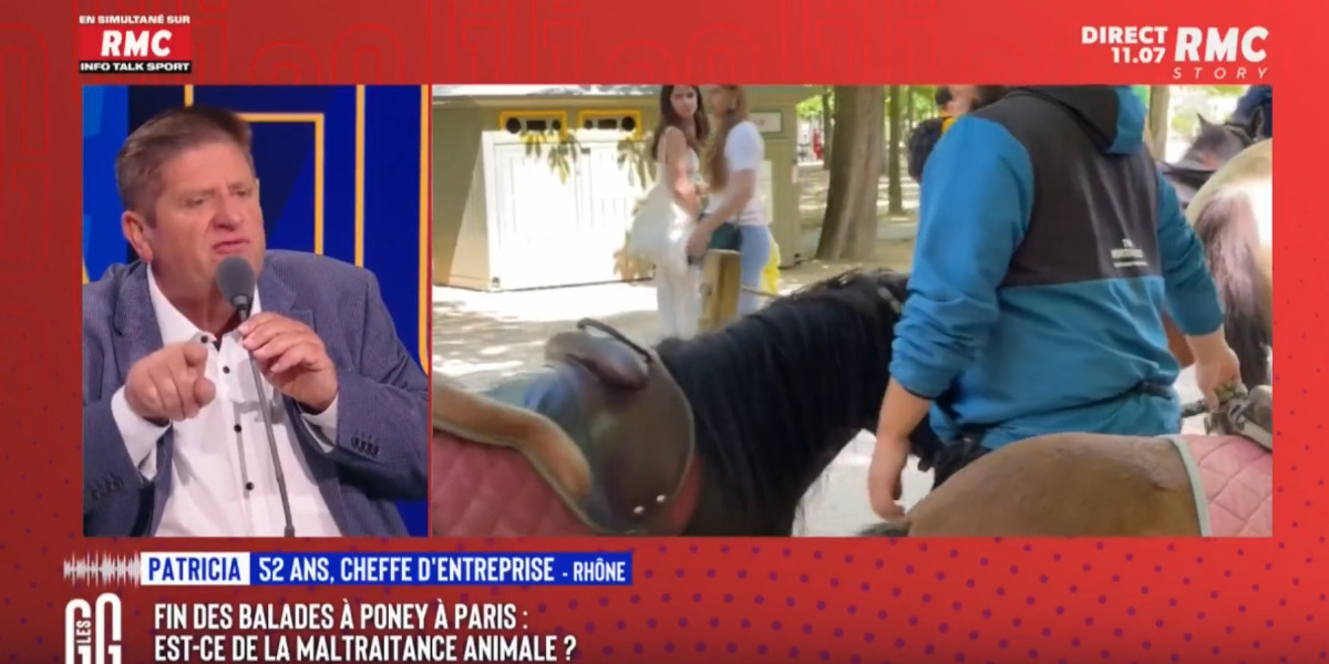 Willy Schraen pris à partie sur RMC : « Vous êtes chasseur donc vous ne pouvez pas comprendre la souffrance animale »