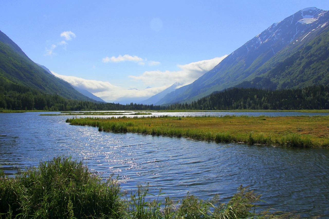 Un célèbre sportif pointé du doigt pour avoir chassé l’ours en Alaska par le média de Hugo Clément