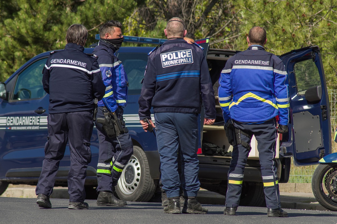 Sarthe : les véhicules de la gendarmerie tous équipés de sifflet anti-gibier  - Chasse Passion