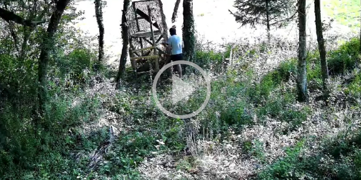 [Vidéo] Un anti-chasse détruit un mirador et se fait prendre en flagrant délit par une caméra de surveillance