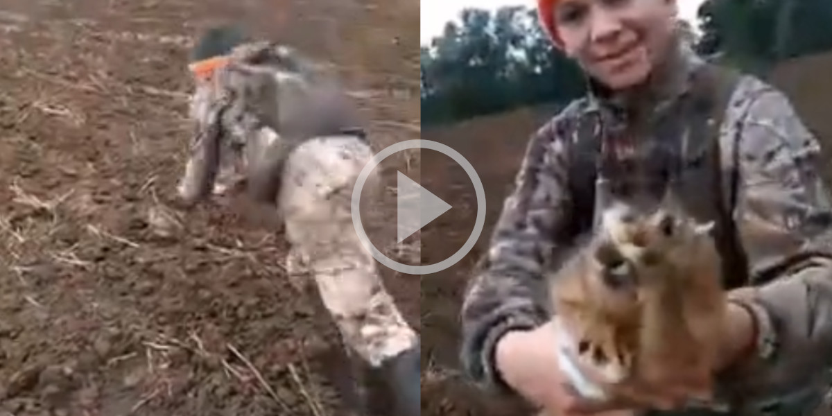 [Vidéo] Un jeune homme attrape un lièvre à mains nues en plein champ