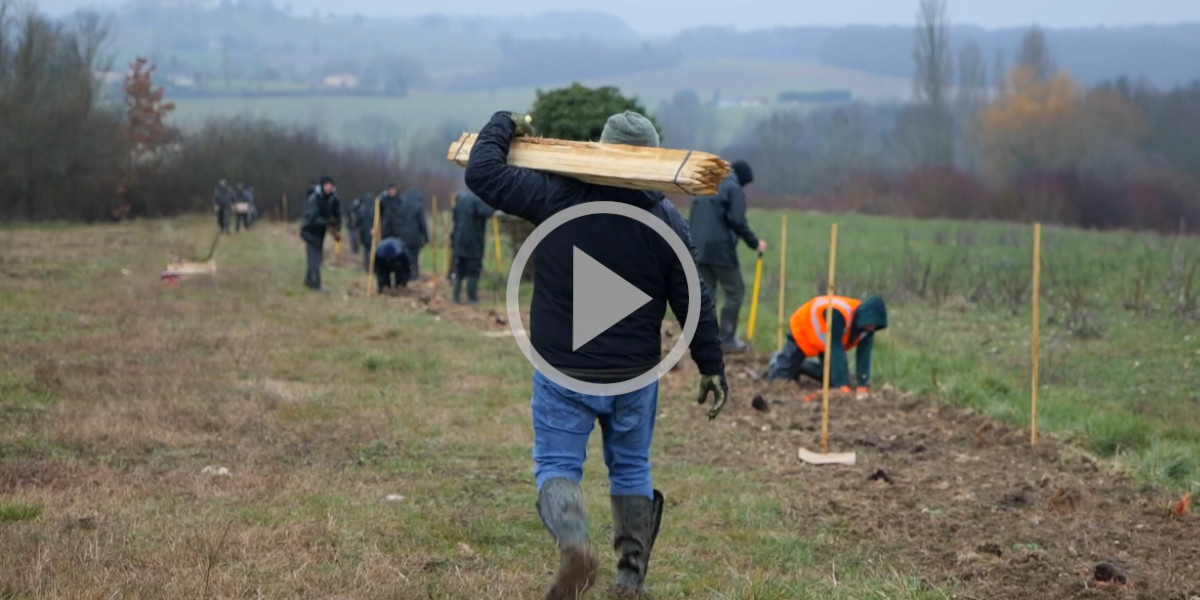 [Vidéo] Dordogne : l’opération « Plantons des haies avec les chasseurs » en images