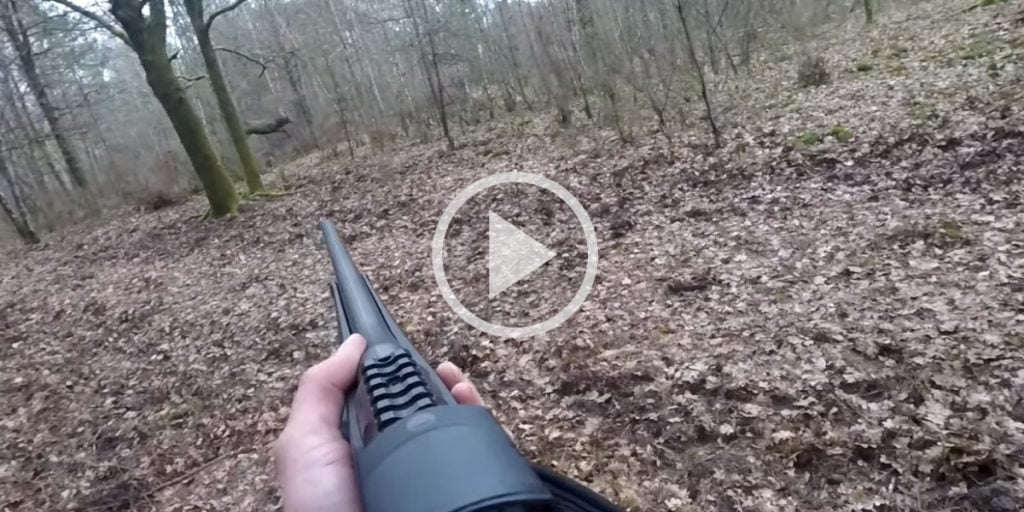 [Vidéo] L'émotion pure d'un jeune chasseur qui prélève le premier cerf