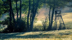 mirador de chasse en pleine nature