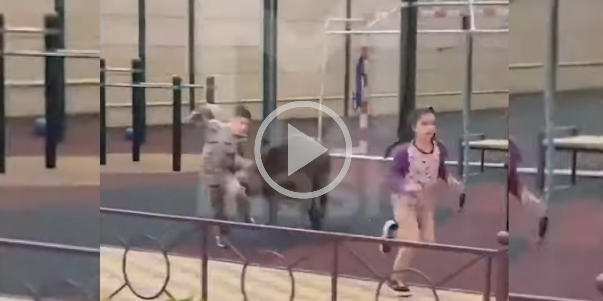 [Vidéo] Un sanglier charge des enfants dans une aire de jeux