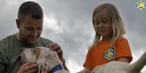 A cœur ouvert chiens courants