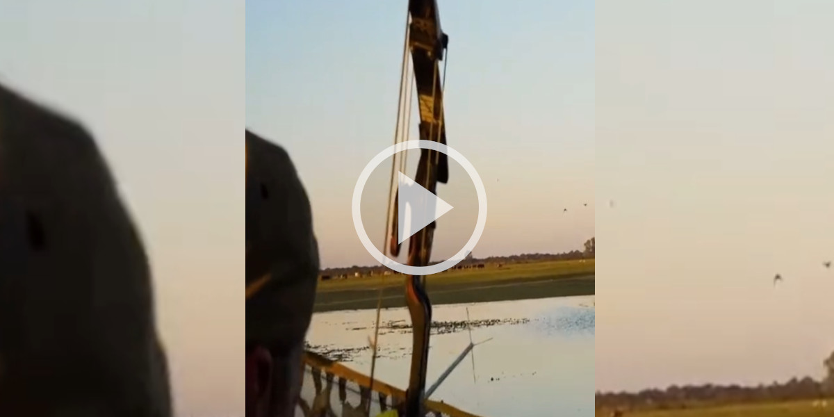 [Vidéo] Chasse à l’arc : il flèche un canard en plein vol