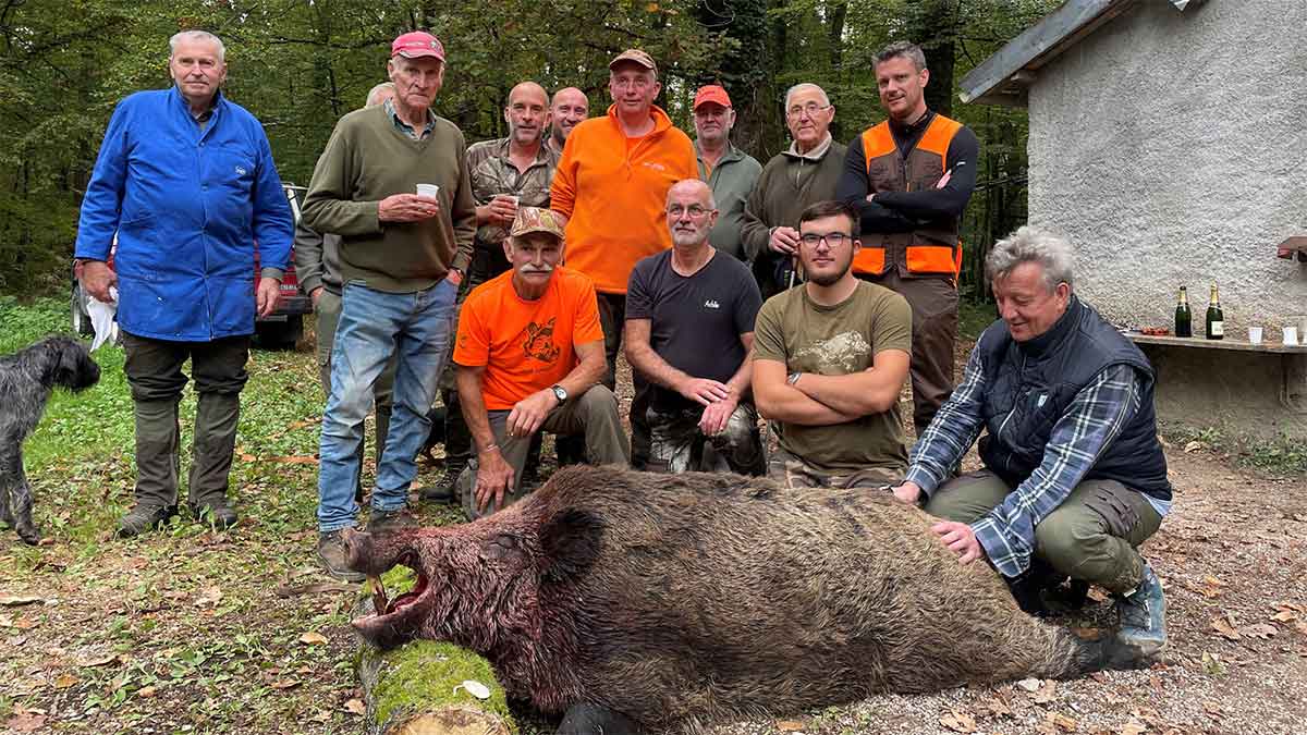 Un sanglier « énorme » de 171kg prélevé dans le Jura