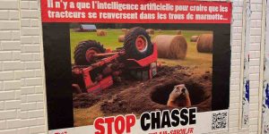 affiches interdiction de la chasse à la marmotte