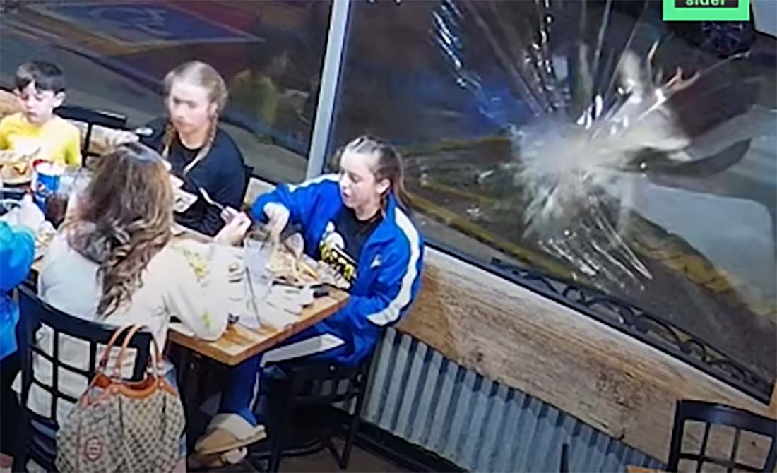 [Vidéo] Un cervidé défonce la baie vitrée d’un restaurant en plein service et sème la pagaille