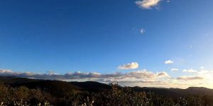 chasse à la palombe dans les basses cévennes