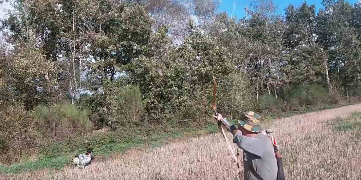 [Vidéo] Une belle scène de chasse à l’arc avec des chiens d’arrêt