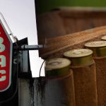 🚨 La vente de cartouches de chasse ouverte aux buralistes dès janvier 2024