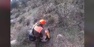 un chasseur sauve son chien victime d'un malaise