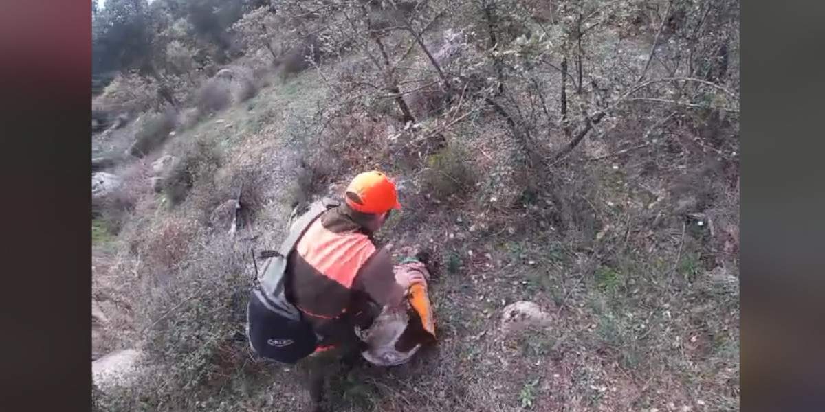 [Vidéo] Malgré la panique un chasseur sauve la vie de son chien en plein malaise