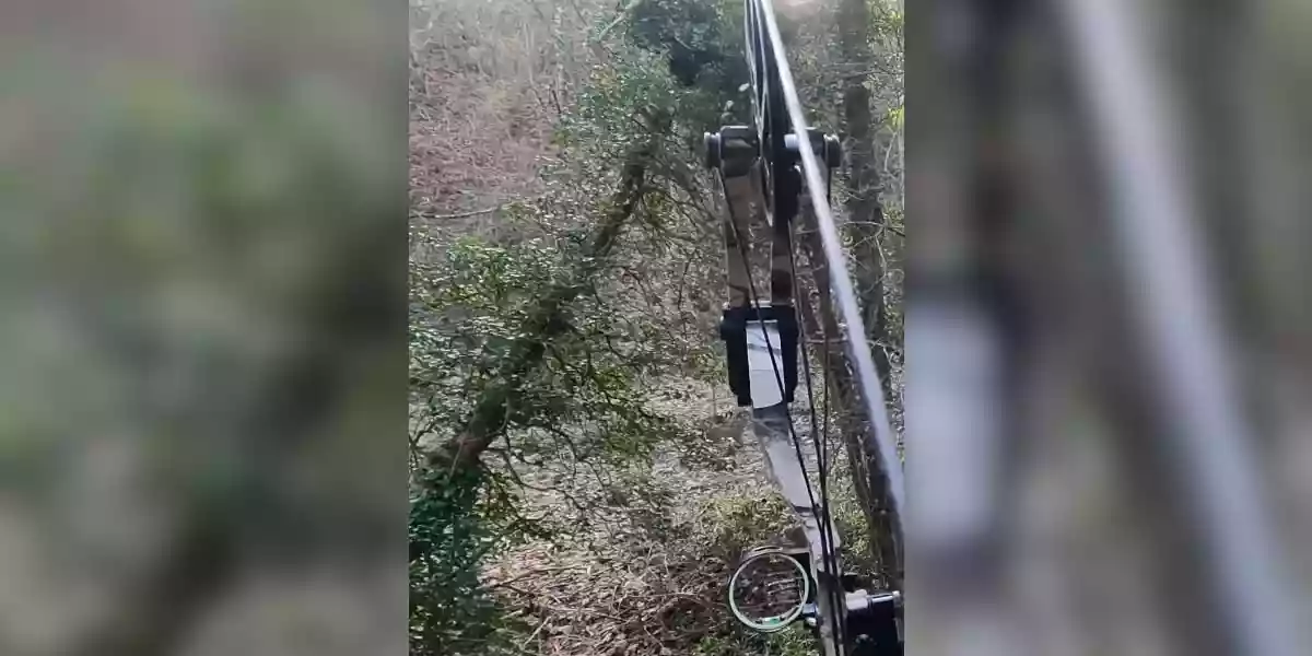 [Vidéo] Chasse à l’arc : tir d’un chevreuil à 20 mètres
