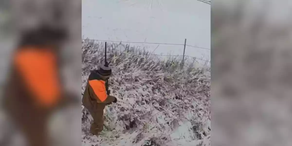 [Vidéo] Un chasseur parvient (presque) à attraper un faisan à mains nues dans la neige