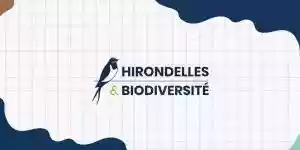 projet hirondelles et biodiversité