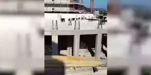 sangliers sur un immeuble en construction