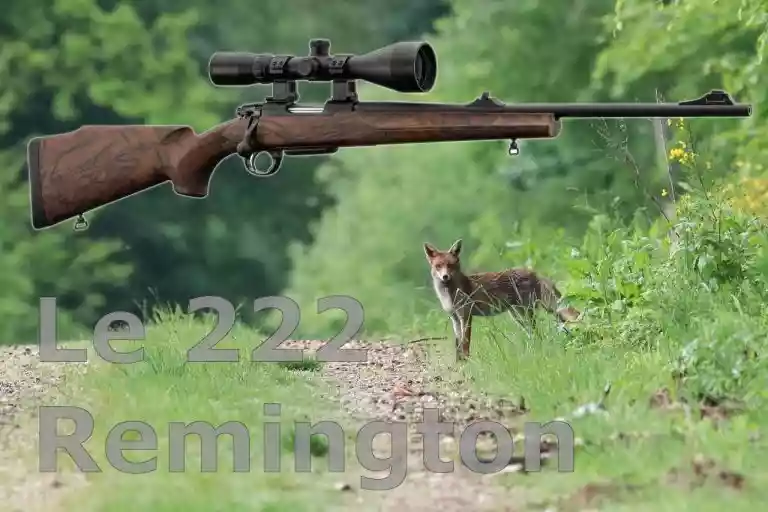 Le calibre 222 Remington : un bon calibre mais dont les usages sont limités