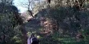 [Vidéo] Action de chasse : un sanglier bien armé lui sort à une dizaine de mètres