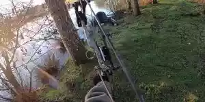 chasse du ragondin à l'arc