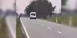 un cerf s'envole par dessus une camionnette