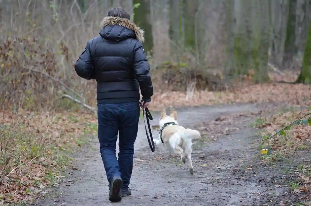 L’obligation de tenir son chien en laisse en forêt à partir du 15 avril sous peine d’amende fait réagir