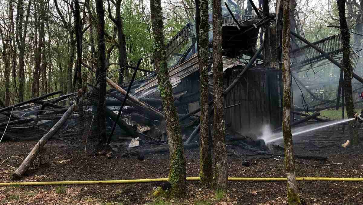 palombière incendiée en Dordogne