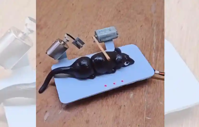 [Vidéo] Un piège pour corriger les souris mais ne pas les tuer