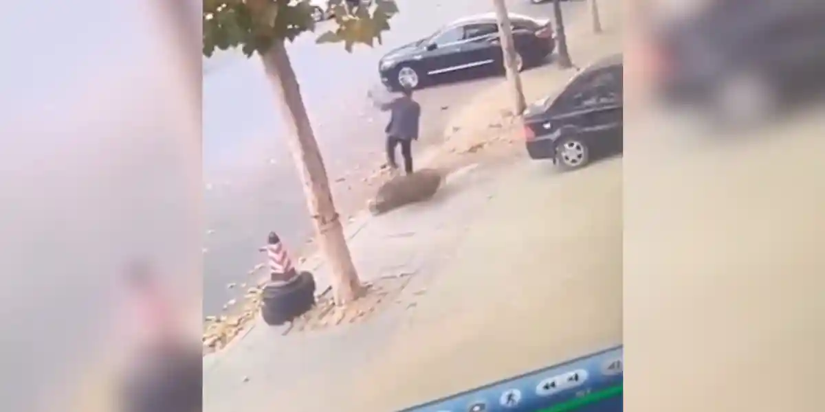 [Vidéo] Un homme esquive avec élégance la charge violente d’un sanglier en pleine ville