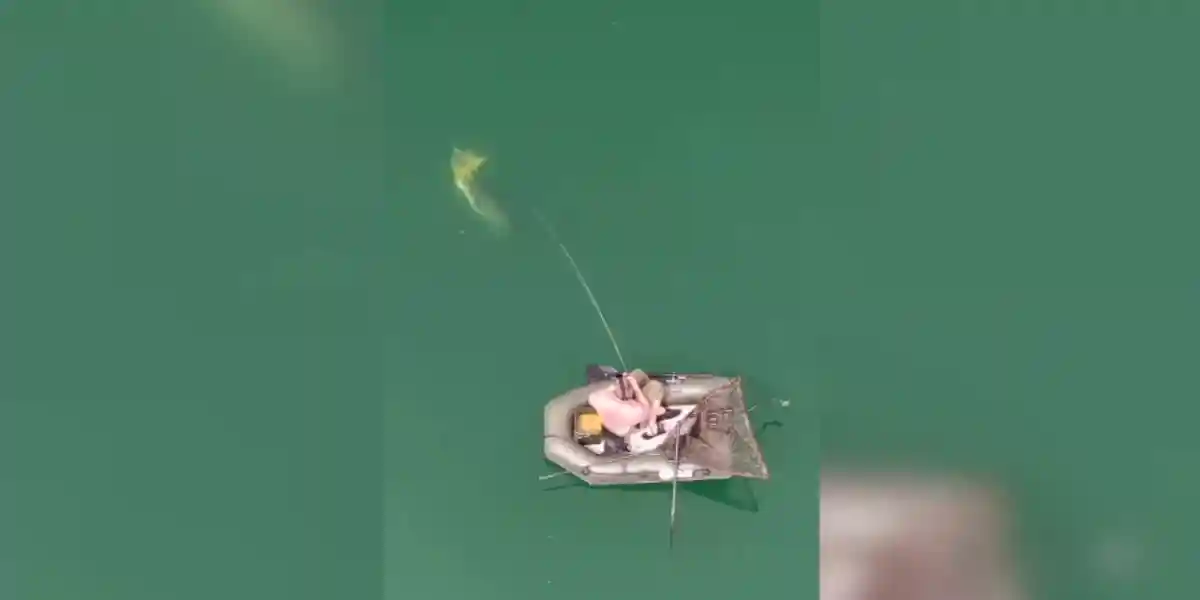 [Vidéo] Un pêcheur à la carpe se fait surprendre par un silure