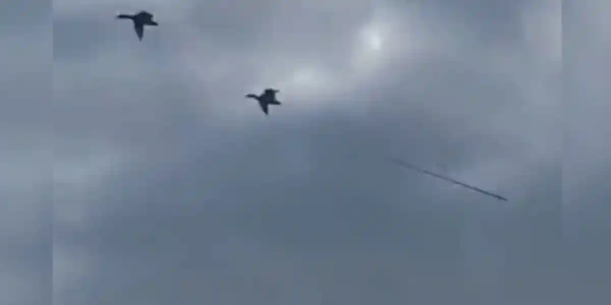 [Vidéo] Un canard aperçu en plein vol accroché à une canne à pêche