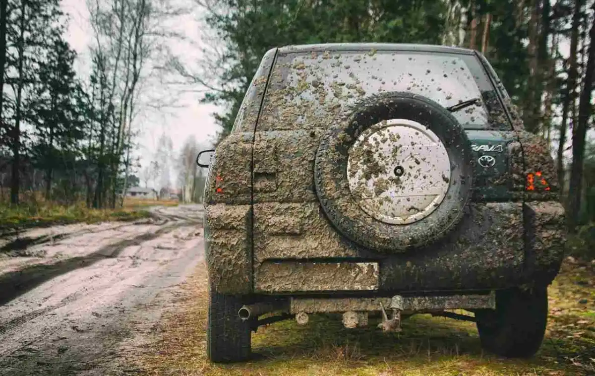 Un éleveur du Lot-et-Garonne jugé pour avoir pourchassé des sangliers avec son 4X4