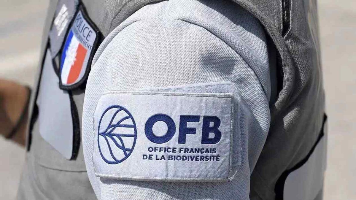 L’OFB va débuter une opération nationale de contrôles des chasseurs qui durera quinze jours